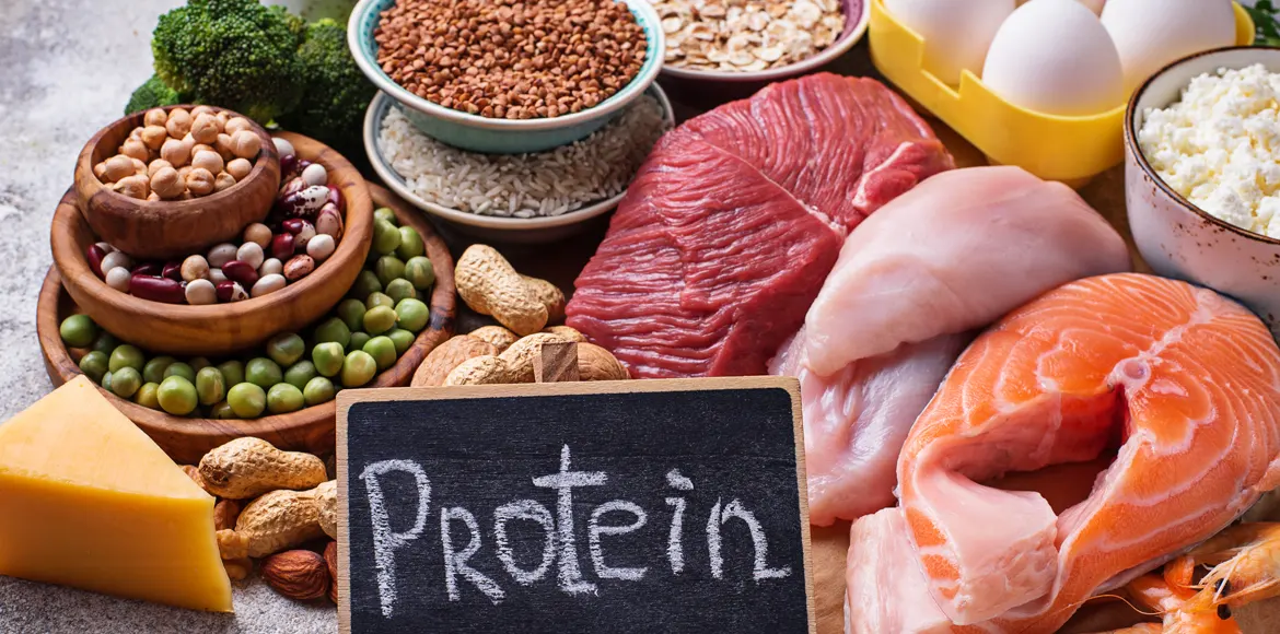 Protein thực vật và động vật !